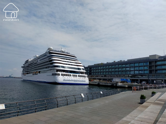 ハンマーヘッドの写真