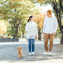 横浜市中区の散歩を楽しむ